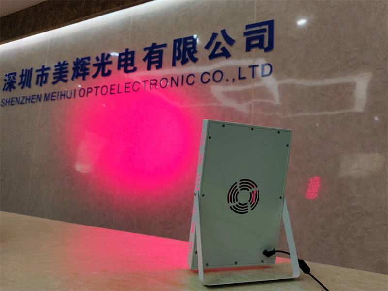 Full Body 660nm 850nm Red Near Infrared Led Light Therapy Panel for Home Use Beauty