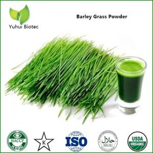 China Barley Grass Powder,organic barley grass powder,barley grass juice powder wholesale
