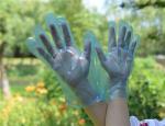 Waterproof TPE Disposable Gloves For Food Processing