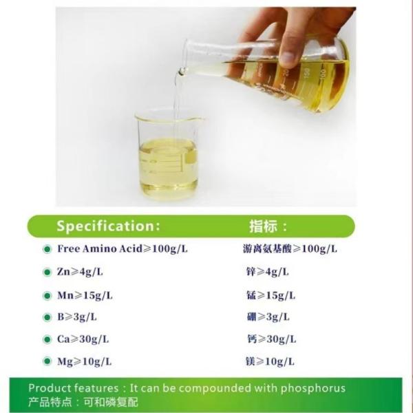 Zinc Calcium Magnesium Amino Acid Chelated Tomato Grape Apple Fertilizer For