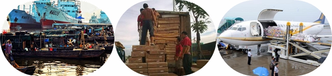 transfer cart
