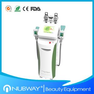 China cryolipolysis slimming machine wholesale