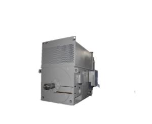 China YKK 5002-2 IP54 Three Phase High Voltage AC Motor 1000kW 6kV wholesale