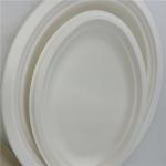 Biodegradable Disposable Sugarcane Paper Plates 6 7 9 10 Inch For Food