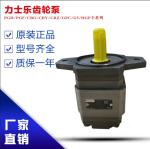 PGH5-3X/063RE11VE4 PGH3-1X/016LE07MU2 RexrothGearPumpCastIronHighPressureSteelPl