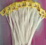 Kiwi Fruit Mesh Netting Bags PE Material 80 Mesh UV Resistance 5-8 Years