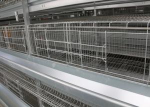 China High Efficiency Layer Hen Cages Battery Cage System For Layers ISO9001 Approved wholesale