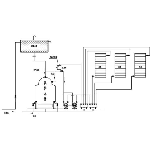 CDZL horizontal chain biomass hot water boiler