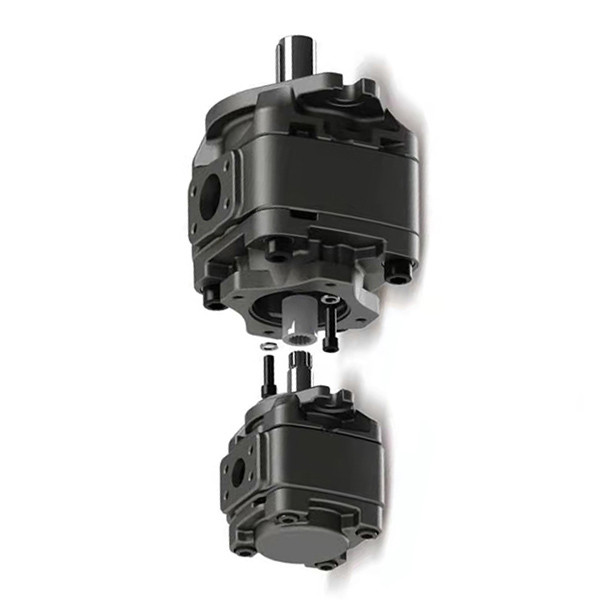 Mechanical Seal Hydraulic Gear Oil Pump Vickers 5001454-004 ｜GD516A121TCTCR20