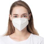 Personal Protection N95 Dust Mask High Filtration Capacity Disposable Anti Dust
