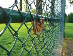Semi Automatic Garden Fence Chain Link Fence Machine