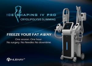 China Fast Body Slimming Equipment / Portable Cryo Lose Weight Machine wholesale