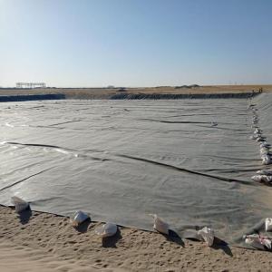 China HDPE Geomembrane for Fish Shrimp Pond in Indonesia 1mm Thickness Durable Material wholesale