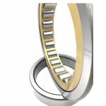 45*100*25mm NU/NJ/NF309EM Cylindrical Roller Bearing for Lubrication and