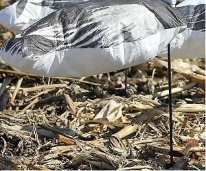 China NEW WHITE ROCK DECOY COMPANY BLUE GOOSE WIND SOCK HUNTING DECOYS DOZEN SNOW wholesale