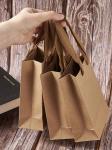 Customized Logo Paper Gift Bags Twisted Handle All Occasion Shoe / Clothing