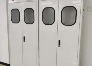China Laboratory ODM Gas Cylinder Storage Cabinet Anti Corrosion wholesale