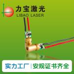 650nm Fiber Laser Module