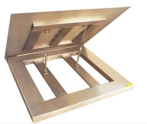 China Waterproof Floor Weighing Scales wholesale