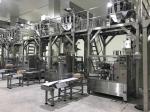 Stand Up Bag 50g Multihead Weigher Packing Machine