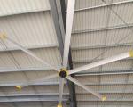 Efficiency Industrial Ceiling Fan 5500mm Blade Diameter 12200m3/min Max Airflow