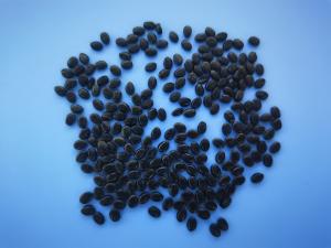 China HDPE Plastic Black Masterbatch wholesale