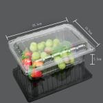 Virgin Food Grade PET 22.5cm Disposable Plastic Food Box