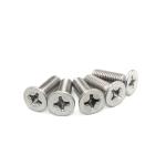 DIN 965 SS304 Stainless steel Cross Countersunk Flat Head Screw