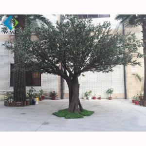 China Green Leaf Artificial Olive Tree For Home Garden Decoration 3m Height wholesale