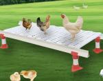 Goat Farm Plastic Slatted Floor Broiler House White / Customized