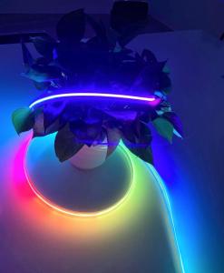 China IP65 Waterproof Flexible LED COB 27w UKCA Rgb Pixel Led Strip wholesale