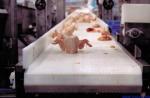 Used Stainless Steel Truck Loading Small Mobile Conveyor System Machine Mini