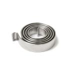 SUS304 Constant Force Coil Spring