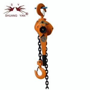 China 1 Ton Chain Block Lifting Equipment Running On Roller Bearings wholesale