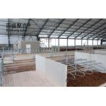 Aluminum Alloy Window and Q345 Prefab Steel Cow Farm Building for Dairy Cow