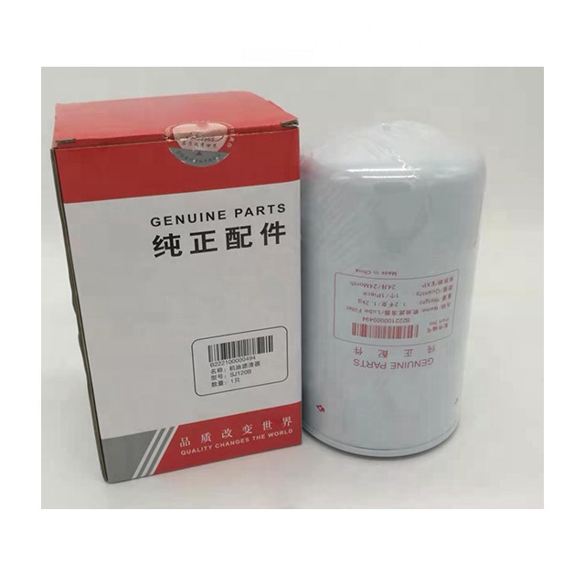 B222100000494 excavator oil filter B222100000494 engine filter