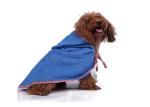 Quick Dry Hooded Dog Towel , Blue Dog Bath Towel Wrap Highly Water Absorbent