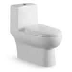 Ceramic Siphonic Flushing Toilet One Piece Sanitary Ware Bathroom Toilet