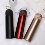 SS304 SS201 Drinkware Bottle Outdoor Sports 500ml Insulated Water Bottle