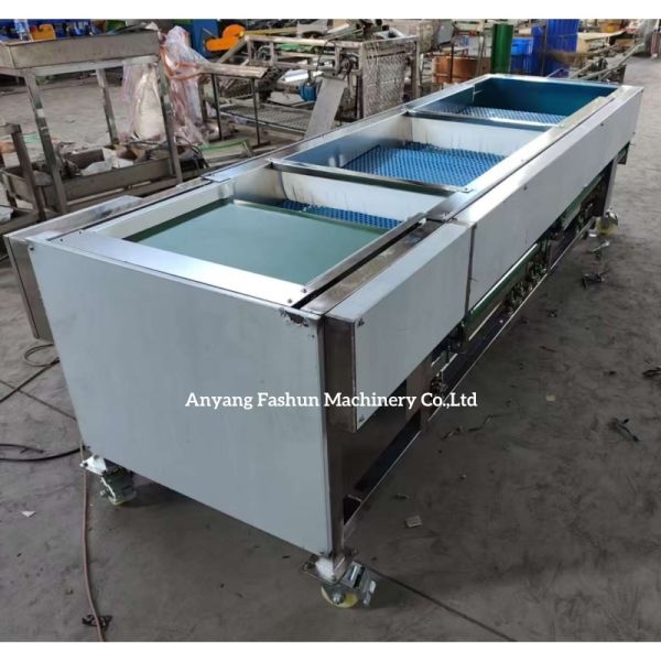 Blueberry sorting machine, Blueberry grading machine, blueberry classification machine