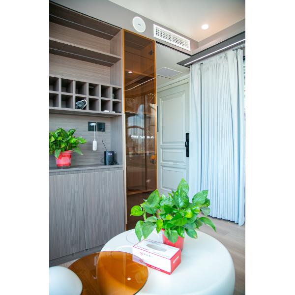 Galvanized Light Steel Frames Main Structure Prefab Modular House Camping Capsule Container Home With Customized Layout