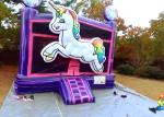 Attractive Colorful Adult Size Bounce House Digital Printing For School