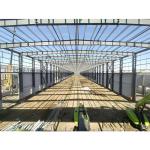 Light Steel House Construction Prefab Metal Office Buildings Steel Structure