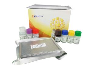 China ET 1 Sandwich Immunosorbent Assay Kit High Sensitive Mouse ELISA Kit 2 Hours Assay Length wholesale
