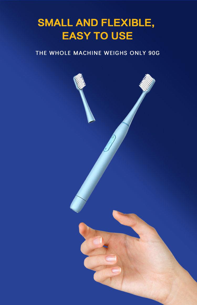 Dry Cell Sonic Battery Operated Toothbrush Dupont Bristles Waterproof For Adults