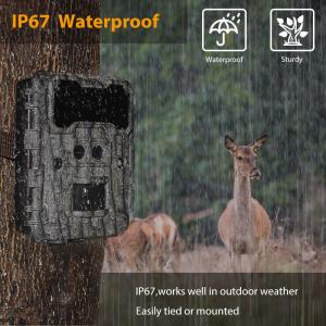 China Dual Lens 1080P Video 30MP Image Trail Forest Camera Two Sensors wholesale