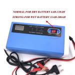 Private Mold Yes Full Self Stop Smart Battery Charger 12V 10A 24V 5A Universal