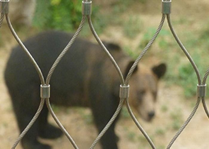 25x25 1.2mm 4.0mm Stainless Steel Zoo Mesh