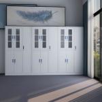 Glass Door Display Filing Cabinet With Newly Steel Clothes Cabinet