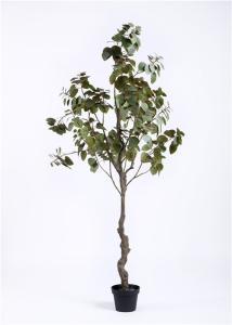 China Commercial 7 Foot Artificial Floor Plants Rejuvenating Lush Fronds Delightful Impression wholesale